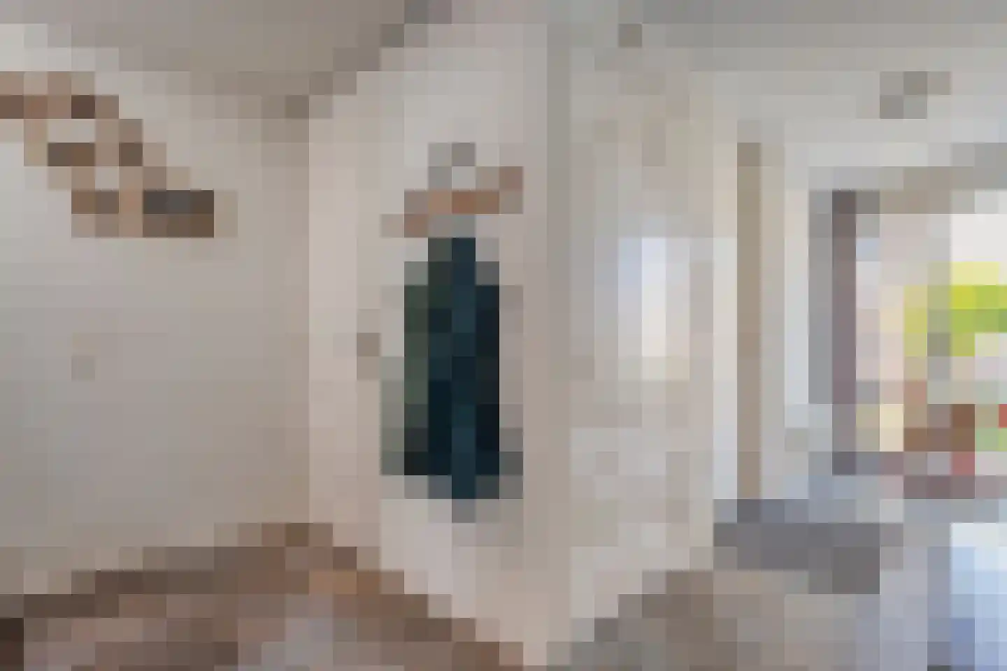 Cantate 10 Kampen thumbnail 4