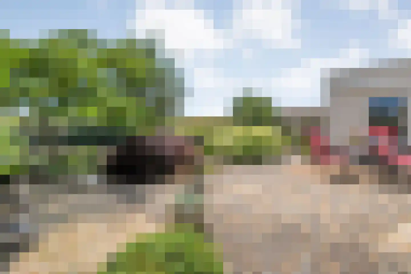 Cantate 10 Kampen thumbnail 40