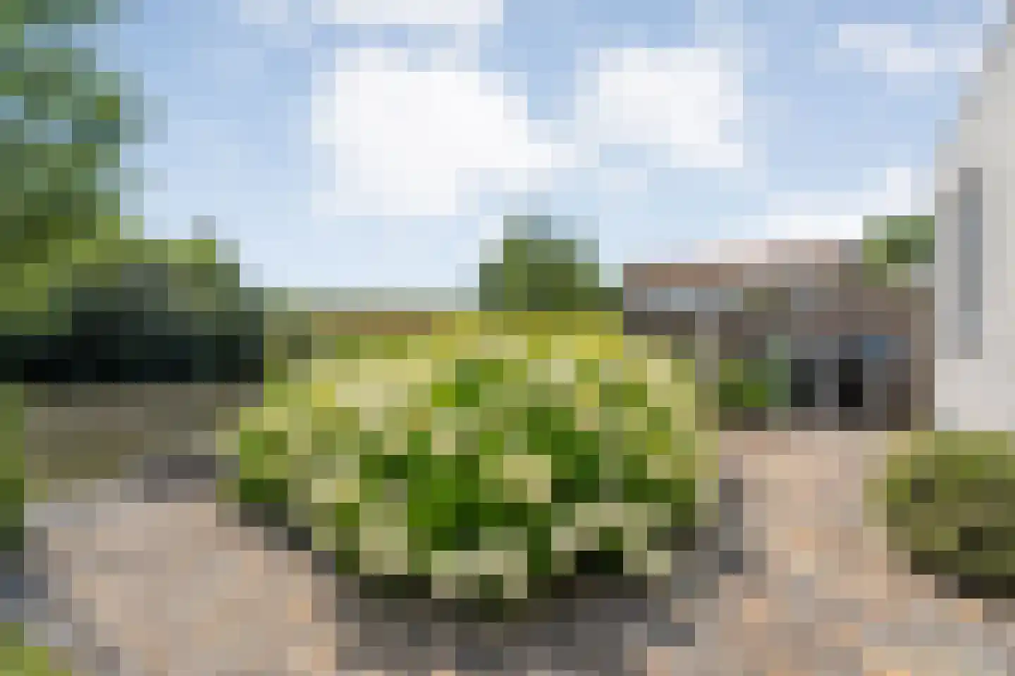 Cantate 10 Kampen thumbnail 44