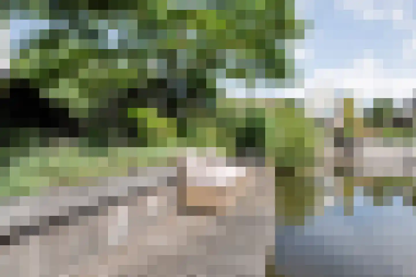 Cantate 10 Kampen thumbnail 48