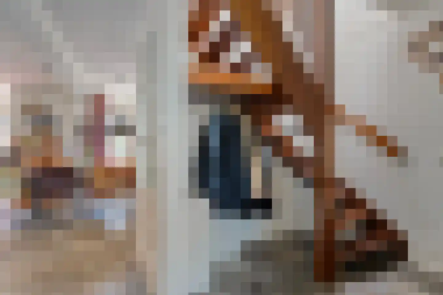 Cantate 10 Kampen thumbnail 5