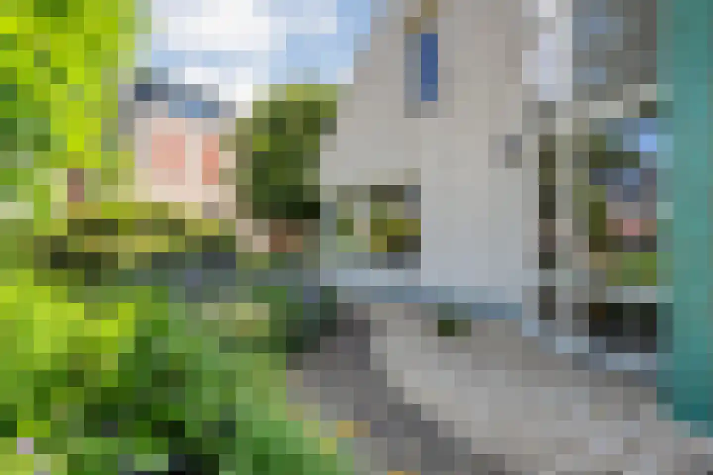 Cantate 10 Kampen thumbnail 57
