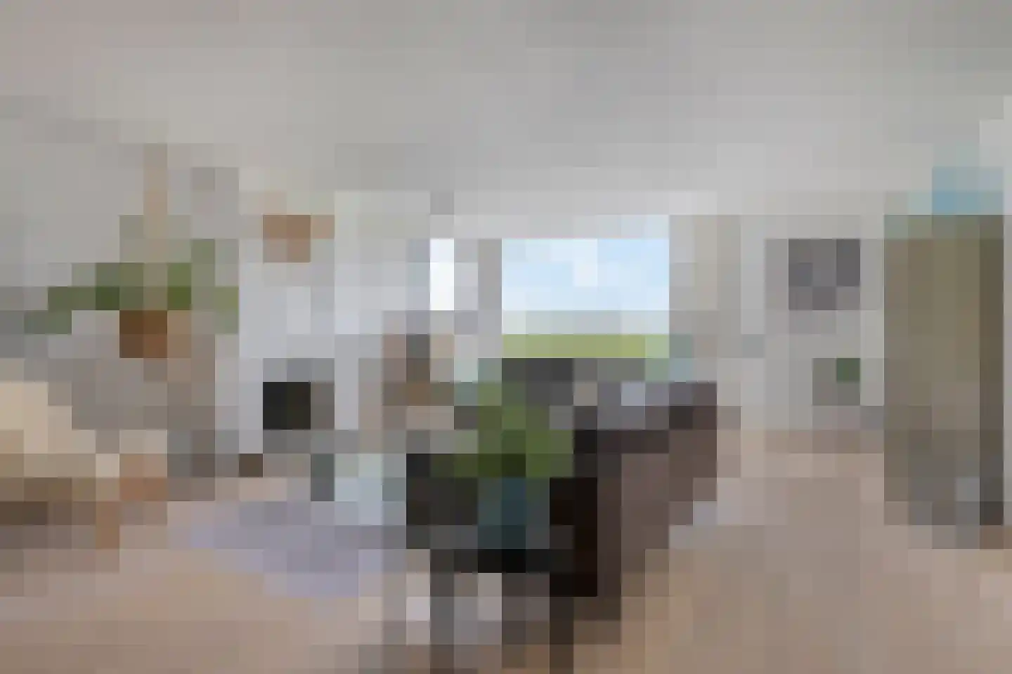Cantate 29 Zaandam thumbnail 15