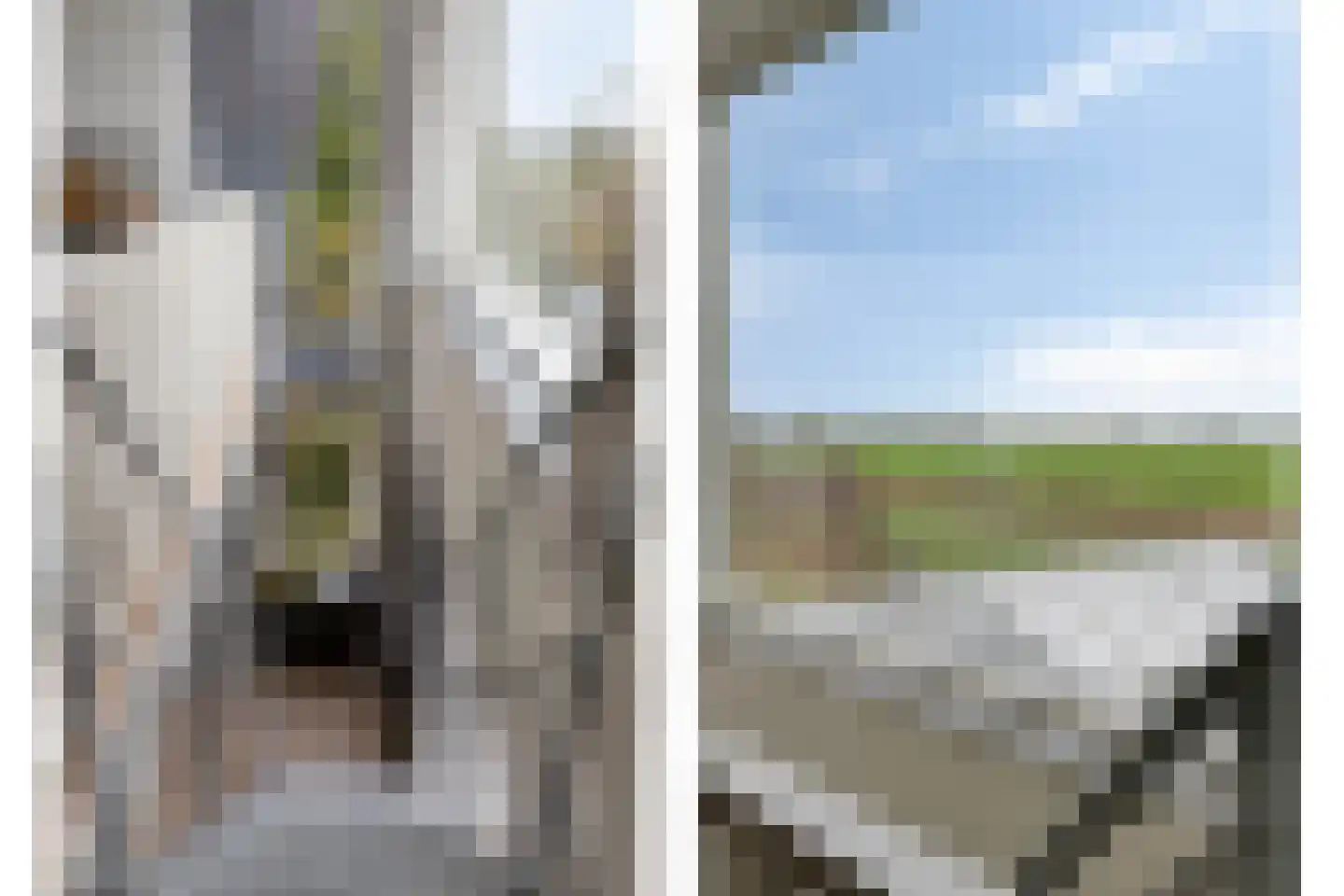 Cantate 29 Zaandam thumbnail 18