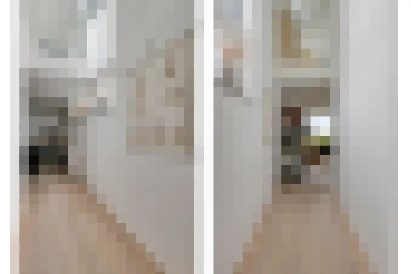 Cantate 29 Zaandam thumbnail 22