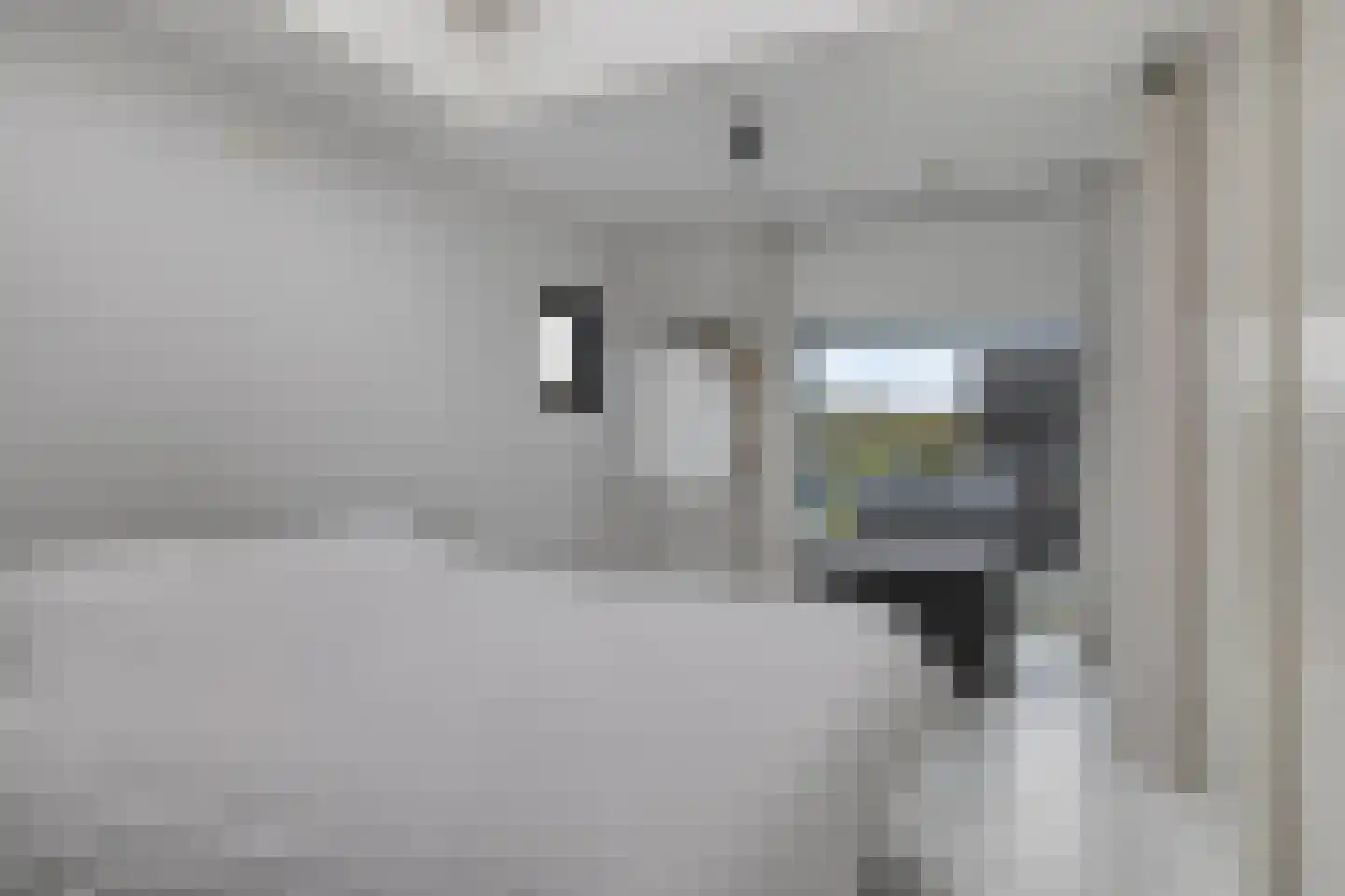 Cantate 29 Zaandam thumbnail 29
