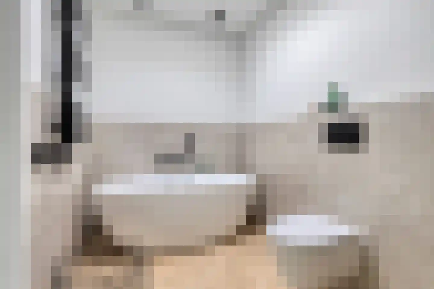 Cantate 29 Zaandam thumbnail 32