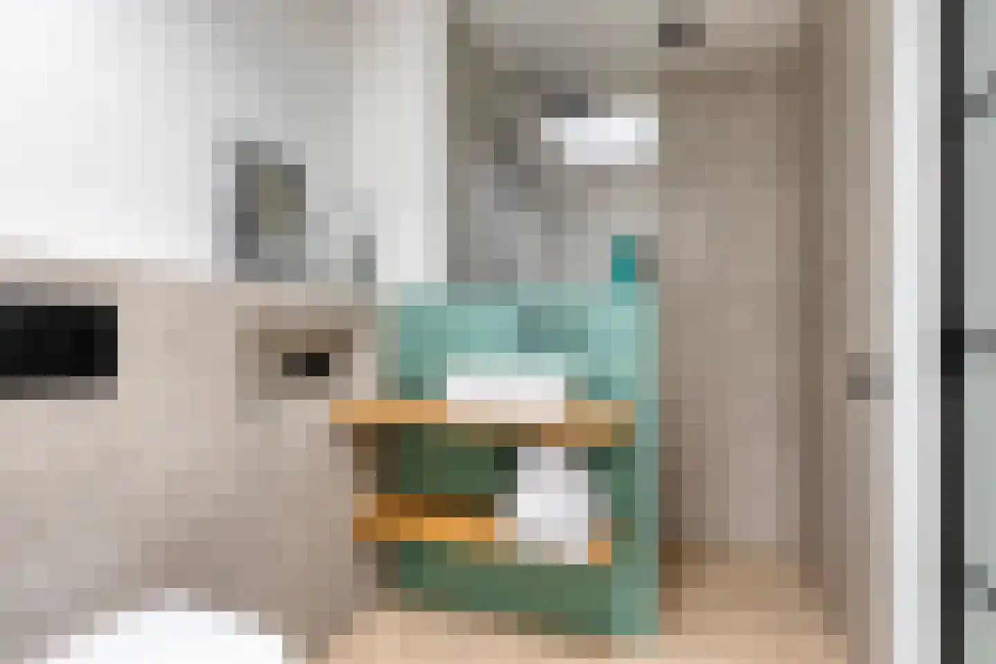 Cantate 29 Zaandam thumbnail 33