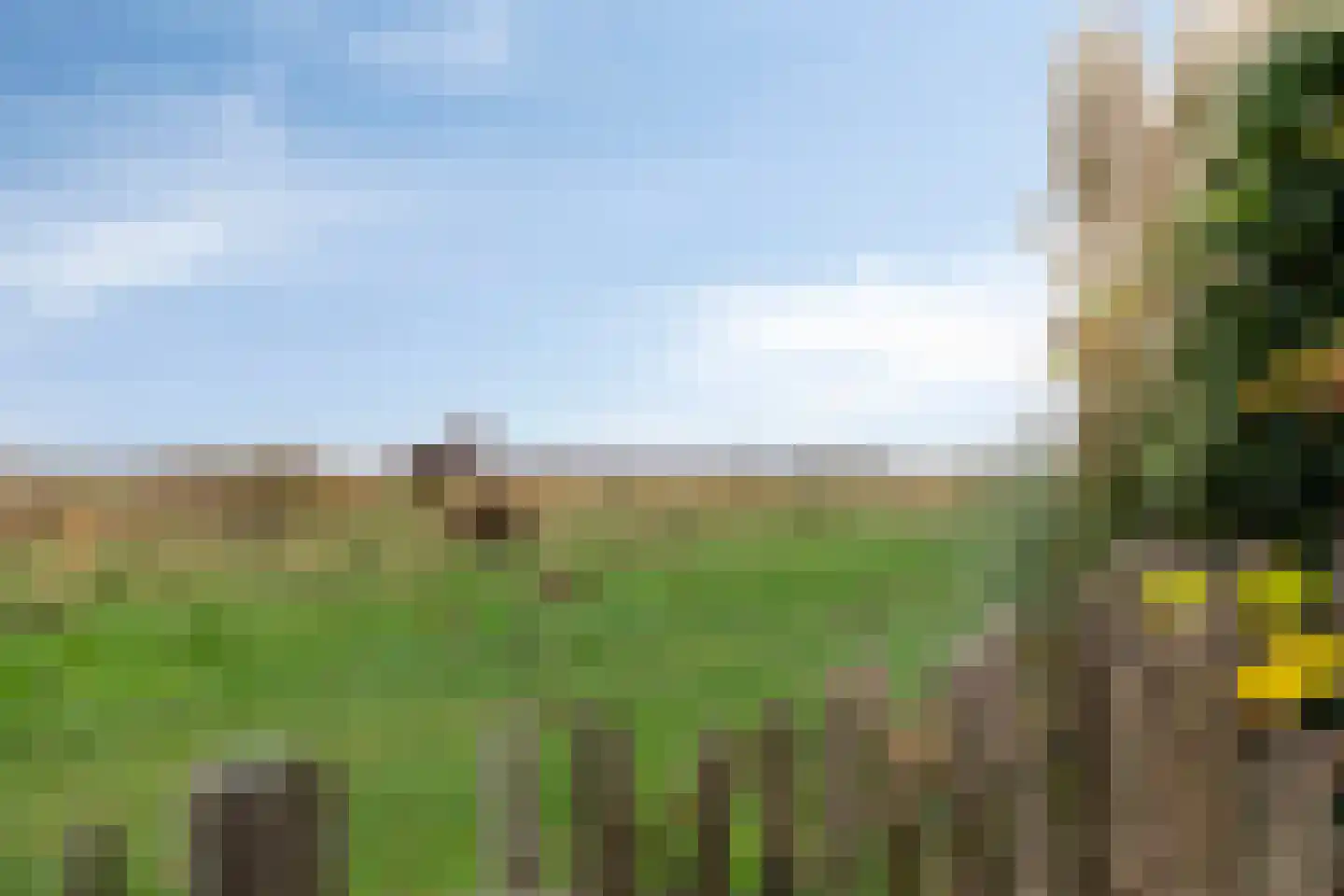 Cantate 29 Zaandam thumbnail 46