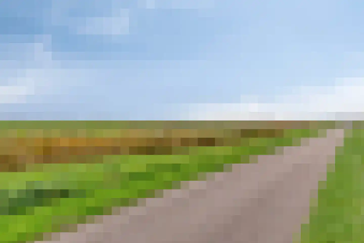 Cantate 29 Zaandam thumbnail 53