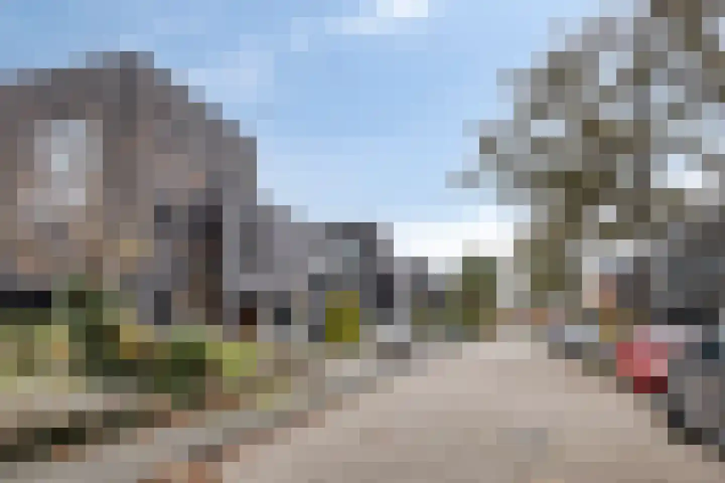 Cantate 29 Zaandam thumbnail 57