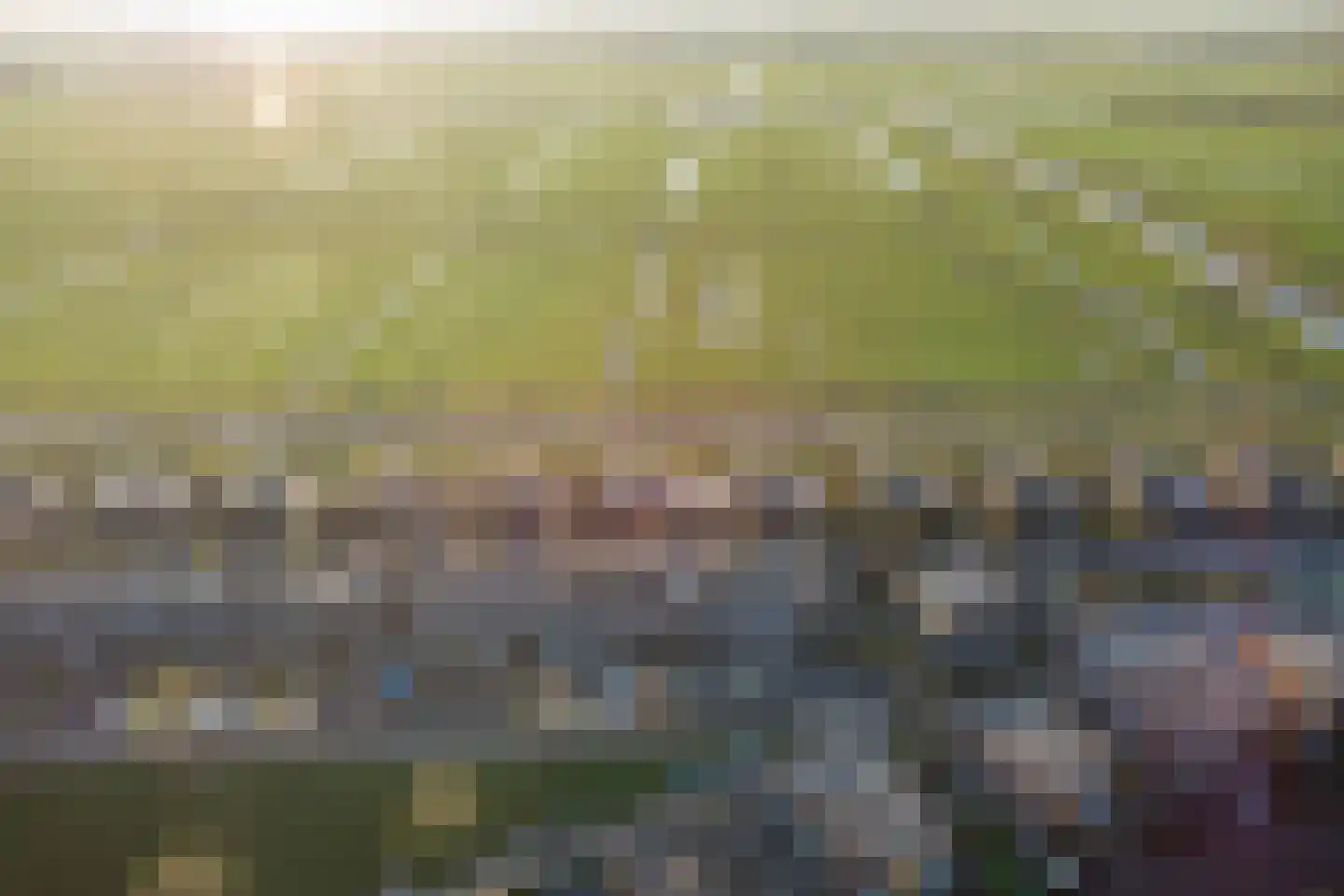 Cantate 29 Zaandam thumbnail 61