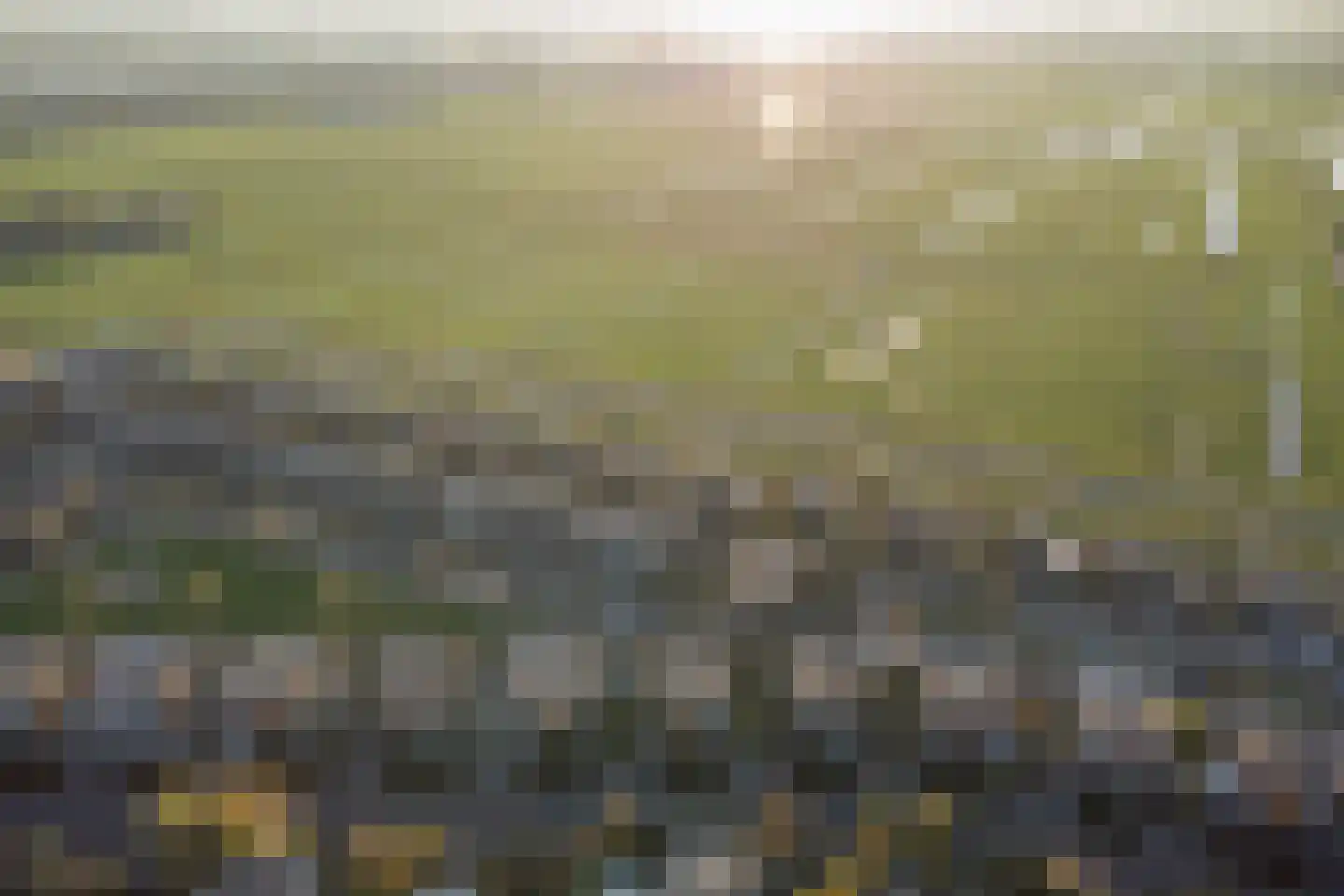 Cantate 29 Zaandam thumbnail 62