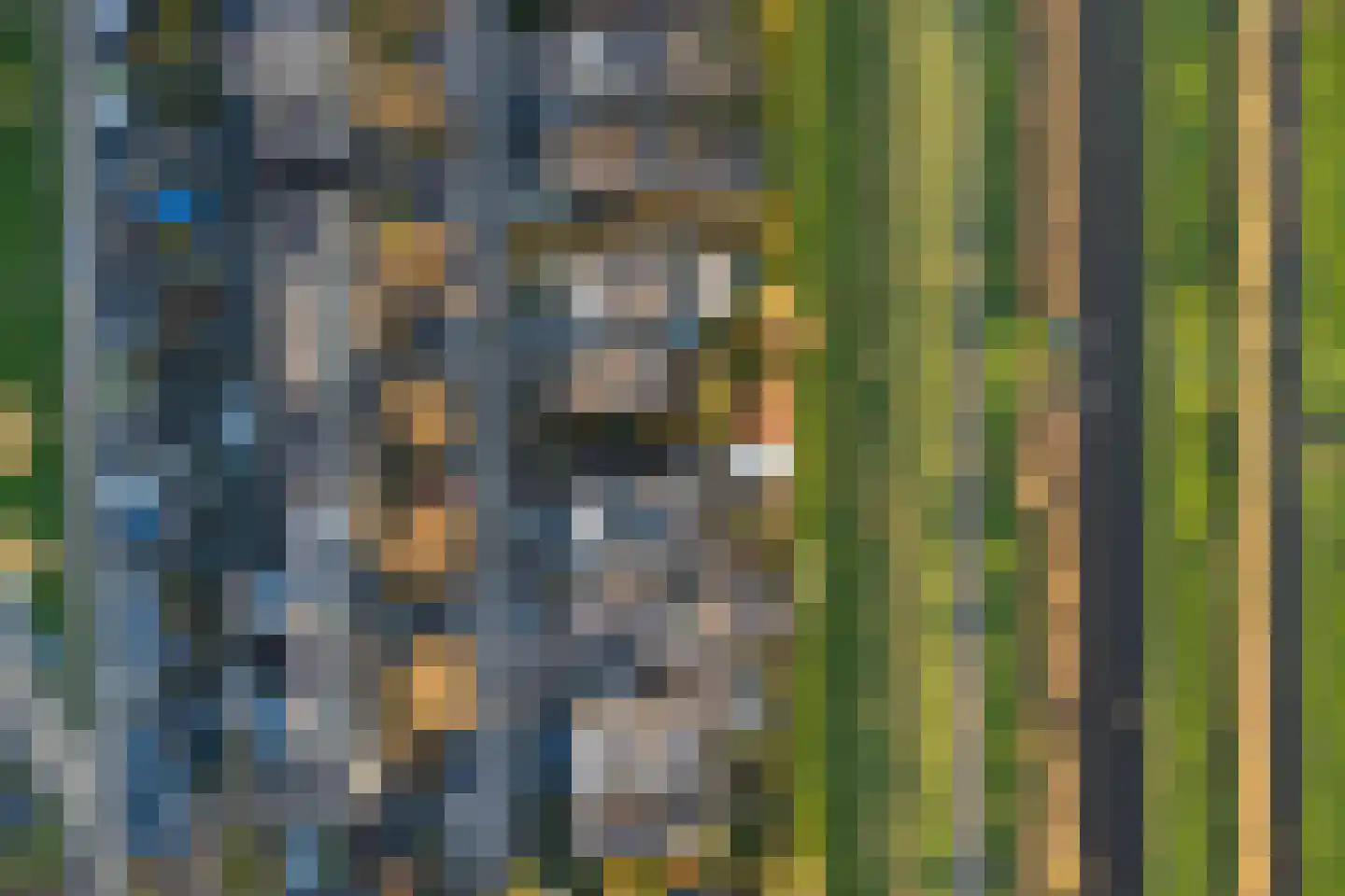 Cantate 29 Zaandam thumbnail 65
