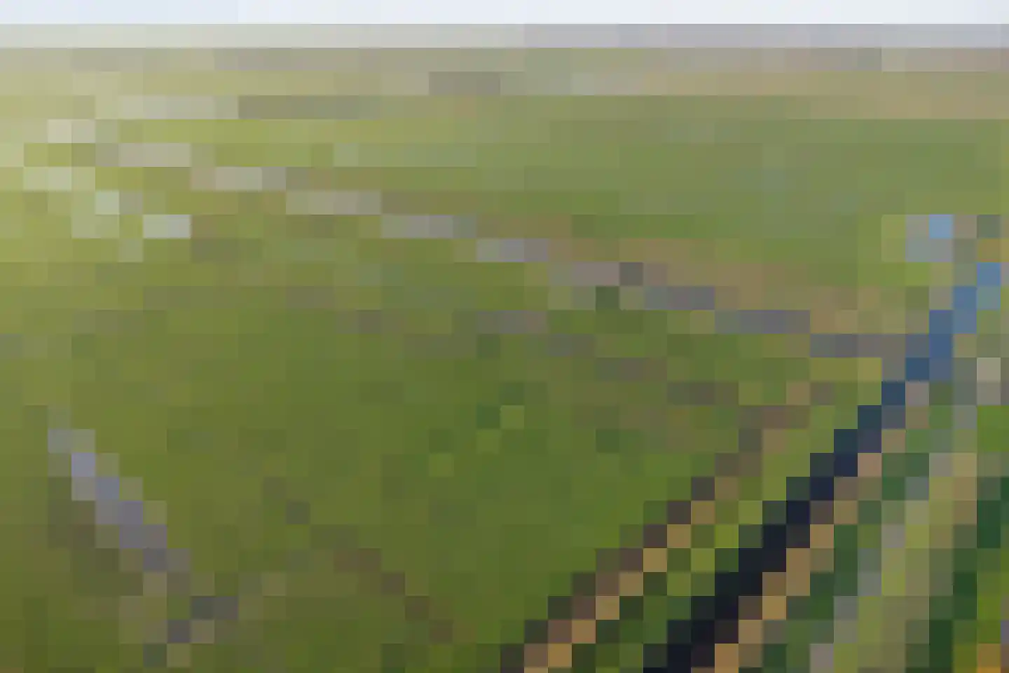 Cantate 29 Zaandam thumbnail 70