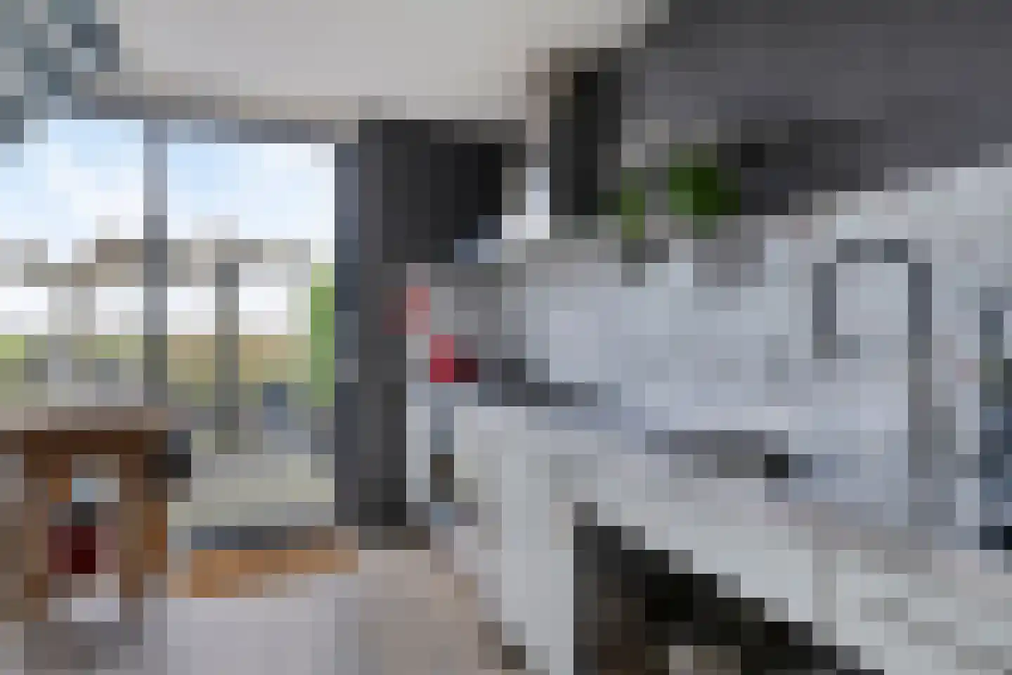 Cantate 29 Zaandam thumbnail 9