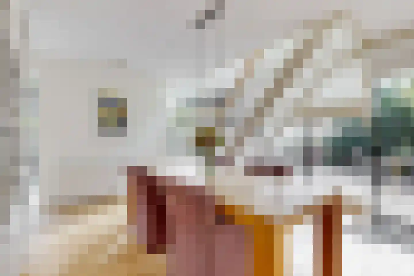 Cantate 5 Zaandam thumbnail 5