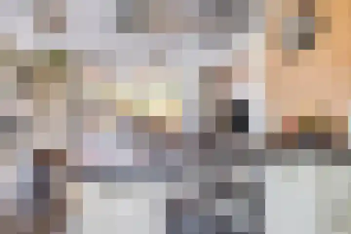Cantatehof 12 Rosmalen thumbnail 10