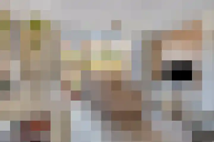 Cantatehof 12 Rosmalen thumbnail 11