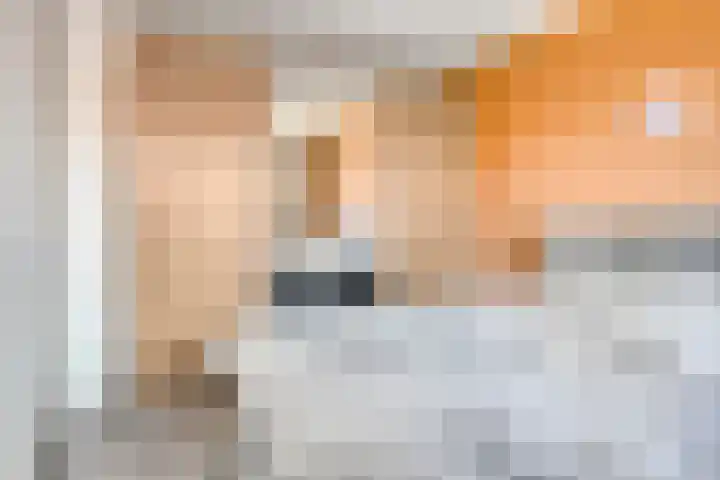 Cantatehof 12 Rosmalen thumbnail 15