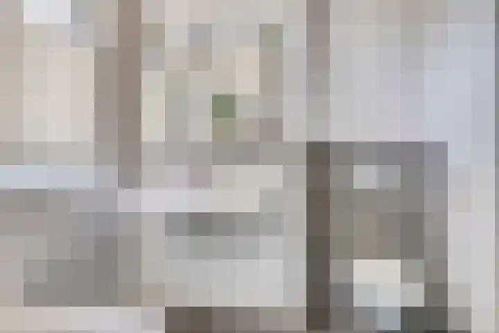 Cantatehof 12 Rosmalen thumbnail 18
