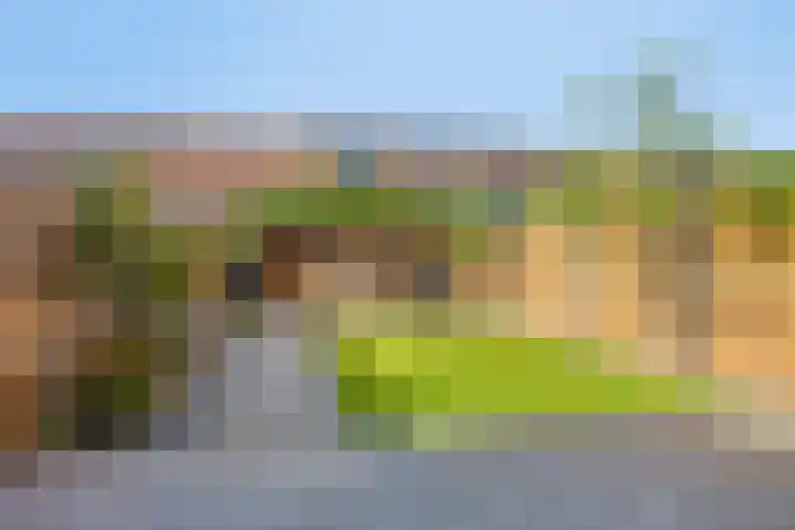 Cantatehof 12 Rosmalen thumbnail 26