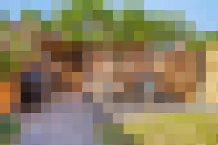 Cantatehof 12 Rosmalen thumbnail 27