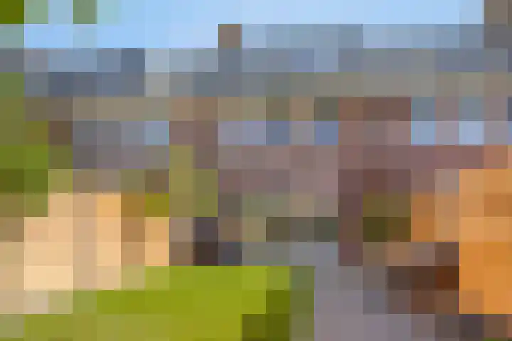 Cantatehof 12 Rosmalen thumbnail 29