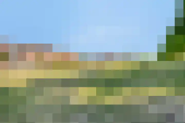 Cantatehof 12 Rosmalen thumbnail 33