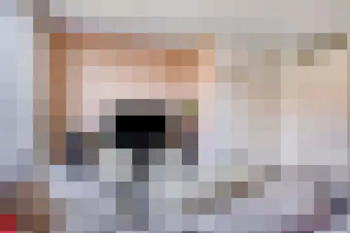 Cantatehof 12 Rosmalen thumbnail 5
