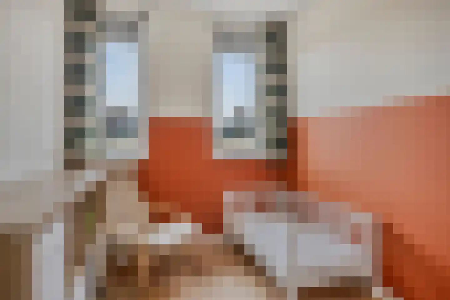 Cantatehof 27 Rosmalen thumbnail 26