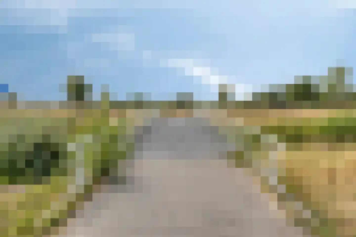 Cantatehof 27 Rosmalen thumbnail 41