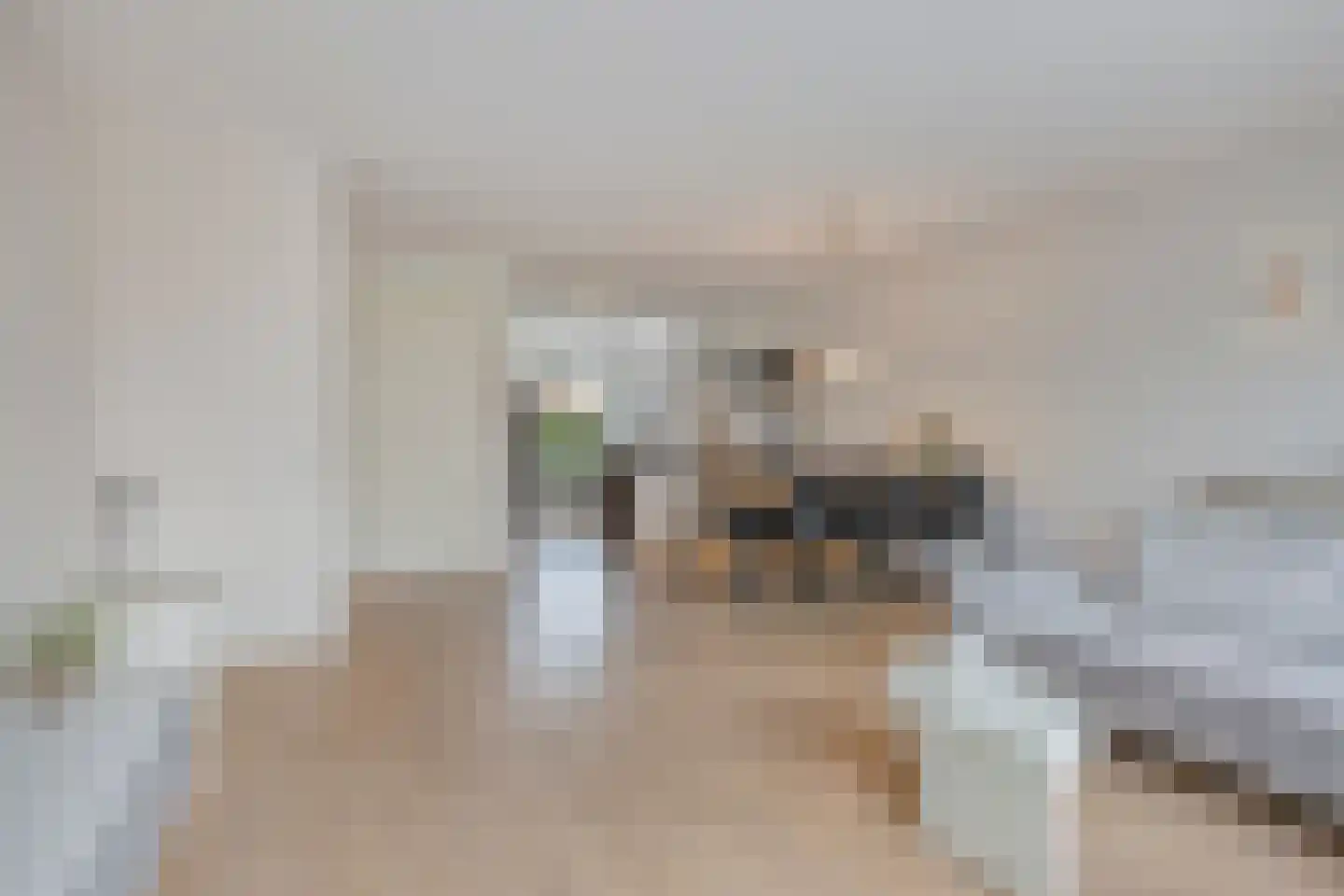 Cantatehof 27 Rosmalen thumbnail 6