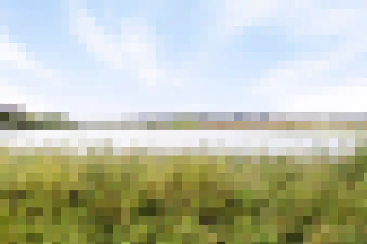 Cantatehof 31 Rosmalen thumbnail 26