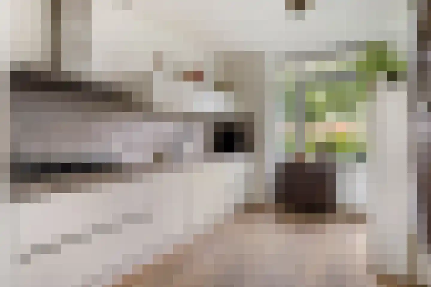 Cantatehof 31 Rosmalen thumbnail 7