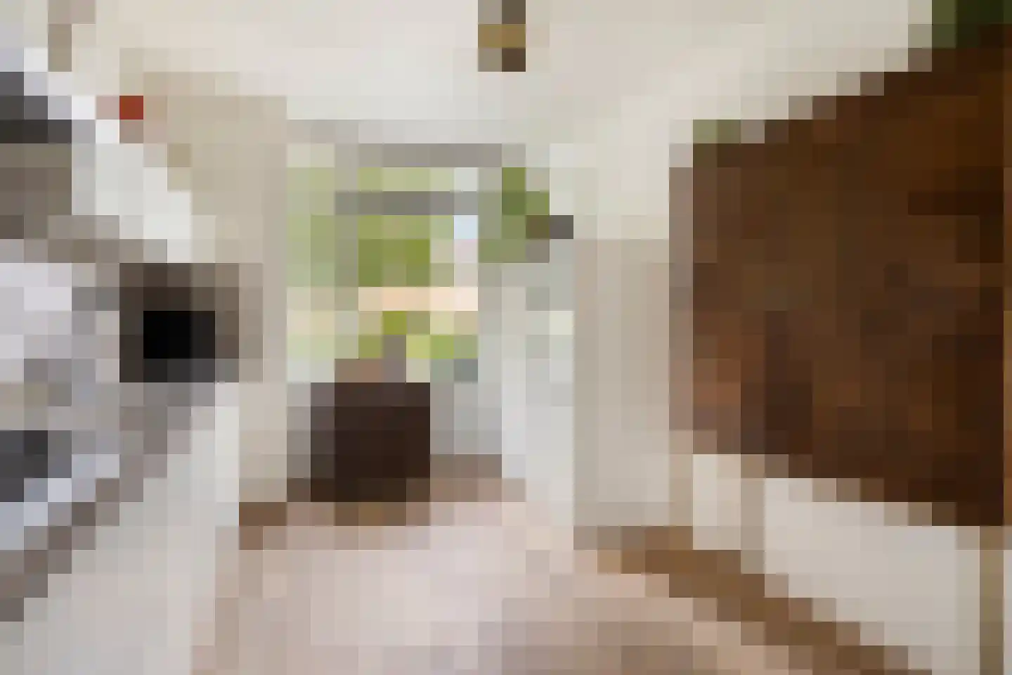 Cantatehof 31 Rosmalen thumbnail 8