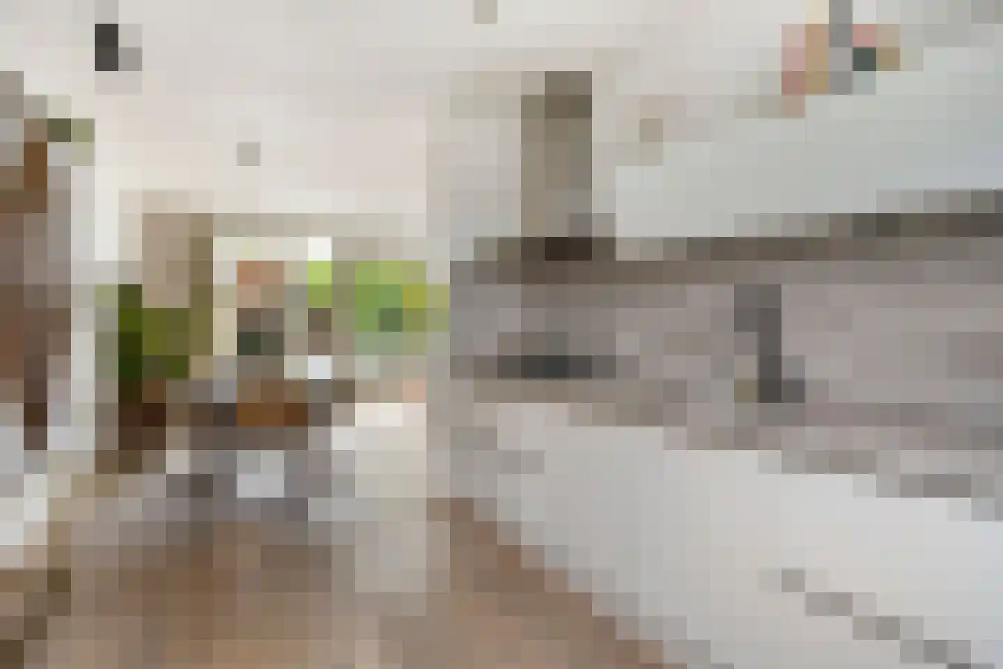 Cantatehof 31 Rosmalen thumbnail 9