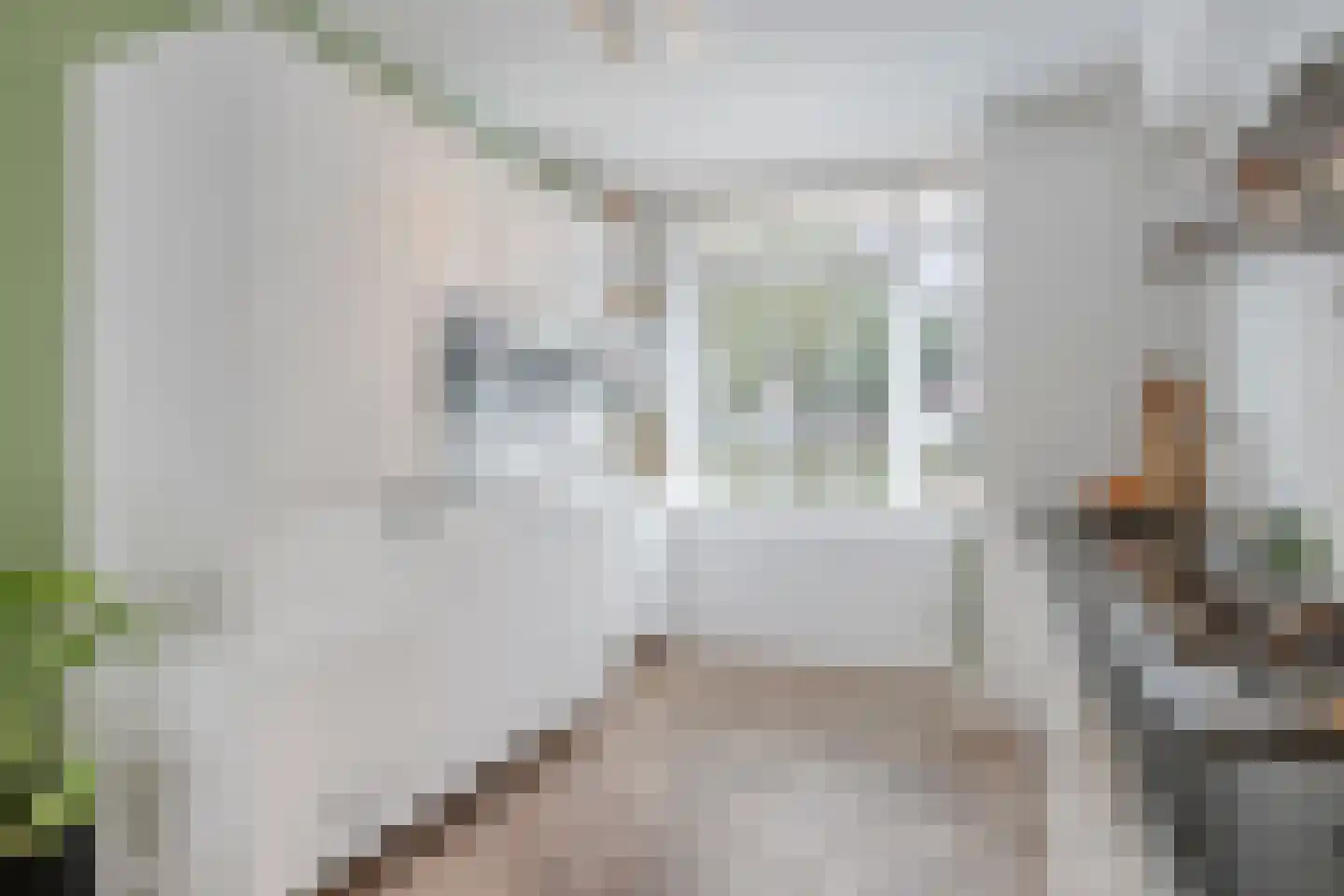 Cantatehof 9 Rosmalen thumbnail 12
