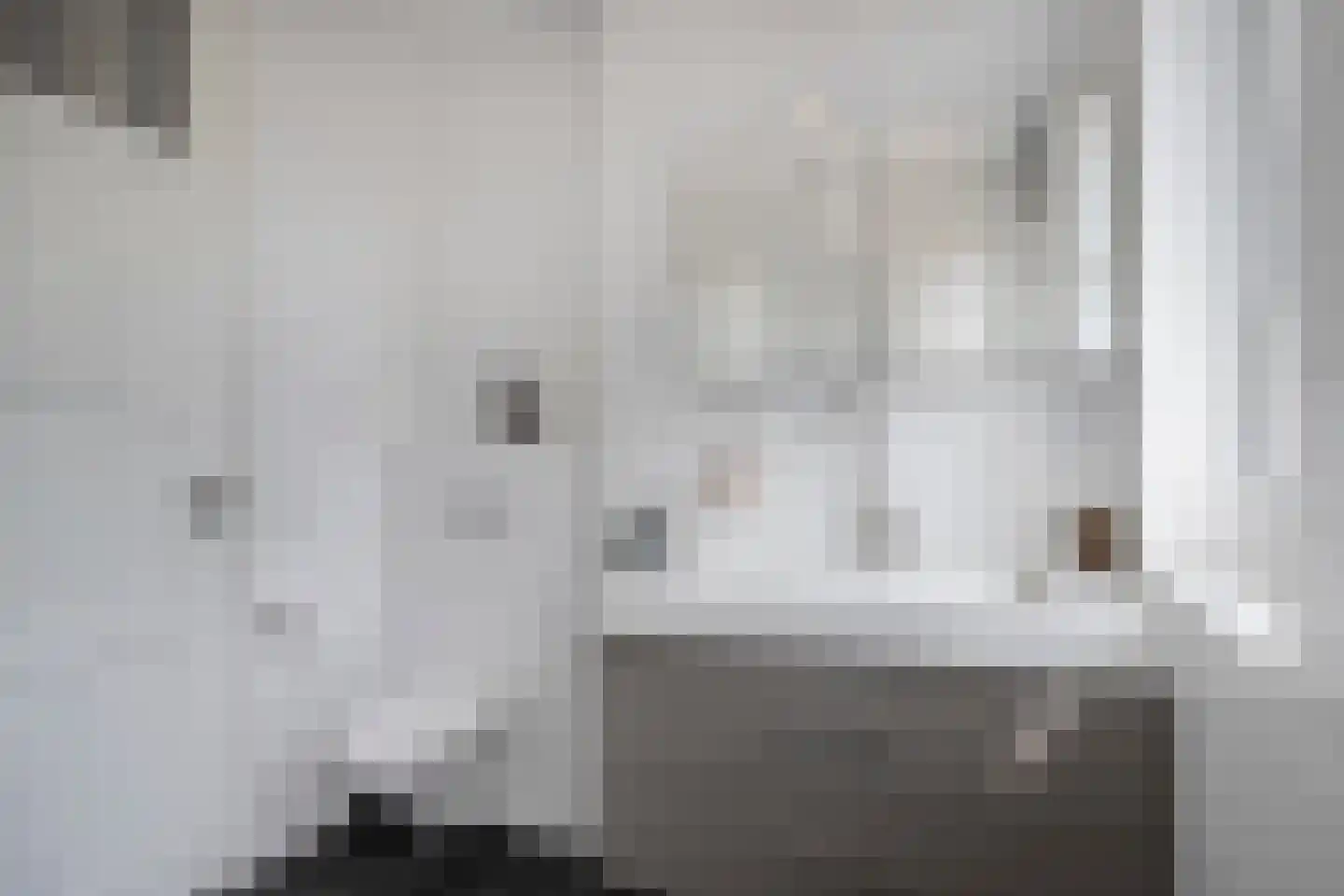 Cantatehof 9 Rosmalen thumbnail 23