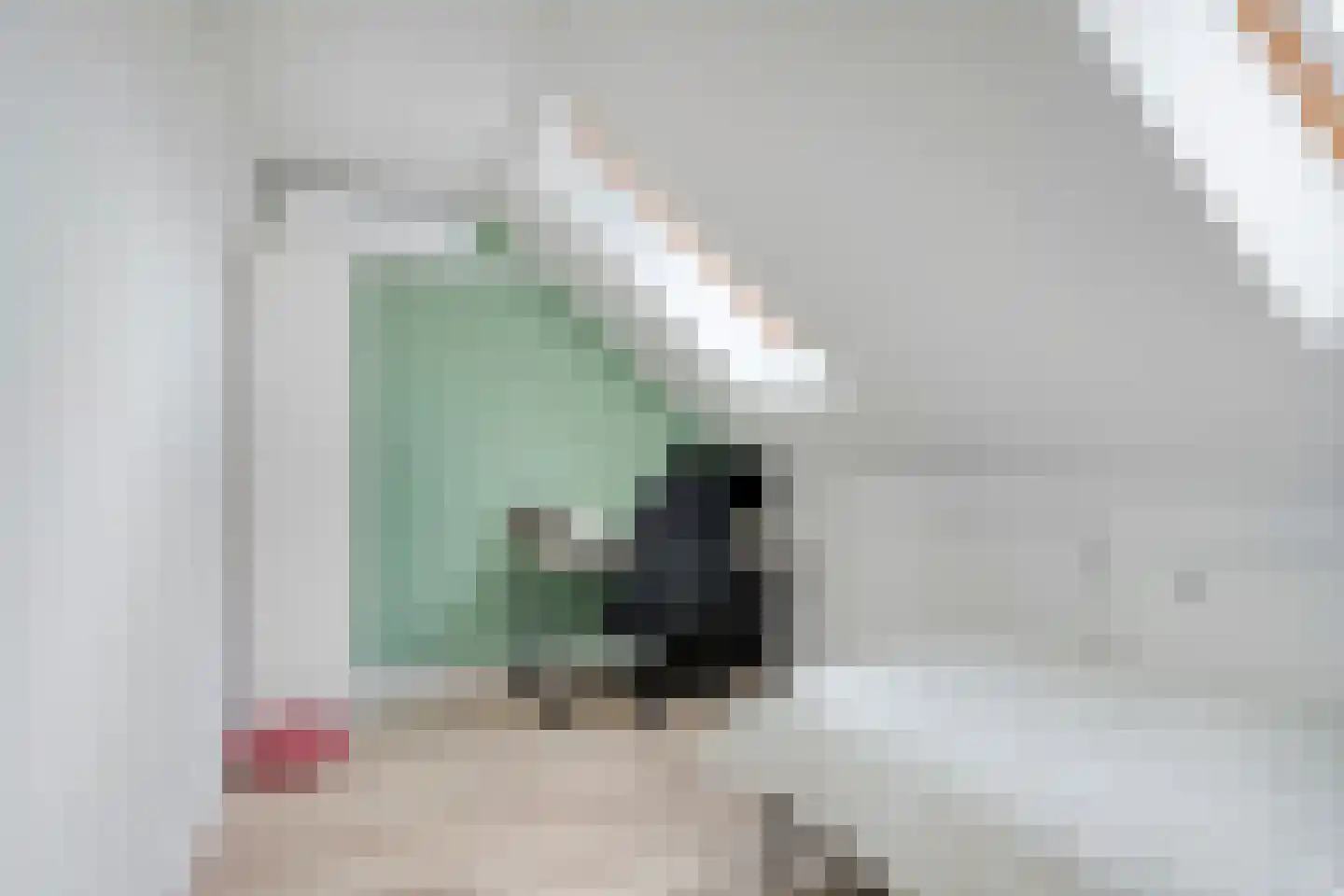 Cantatehof 9 Rosmalen thumbnail 26