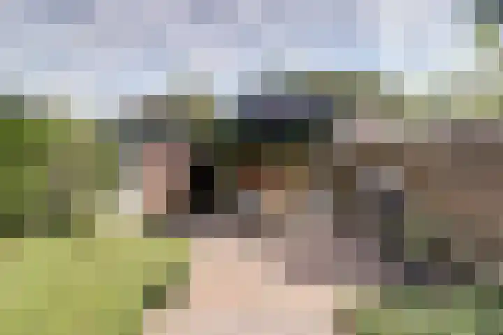 Cantatelaan 10 Nieuwegein thumbnail 31