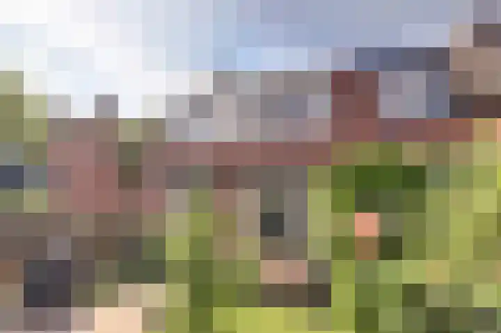 Cantatelaan 10 Nieuwegein thumbnail 35