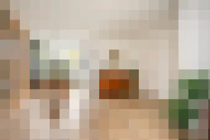 Cantatelaan 13 Nieuwegein thumbnail 10