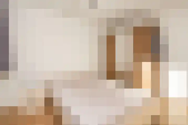 Cantatelaan 13 Nieuwegein thumbnail 17