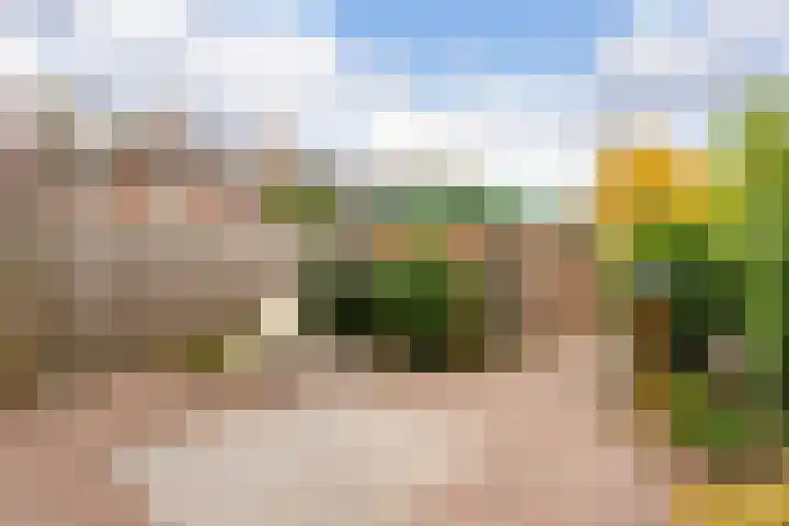 Cantatelaan 13 Nieuwegein thumbnail 26