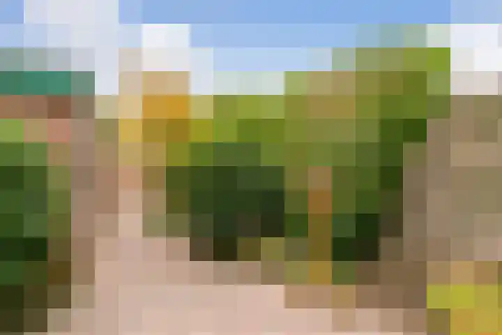 Cantatelaan 13 Nieuwegein thumbnail 27