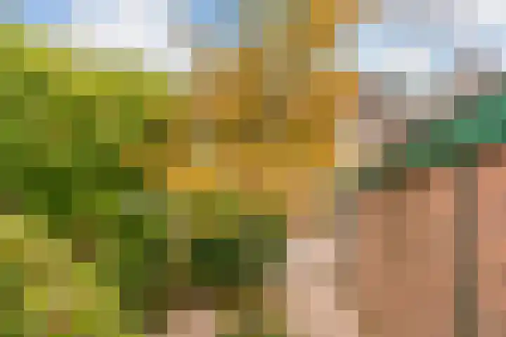 Cantatelaan 13 Nieuwegein thumbnail 30