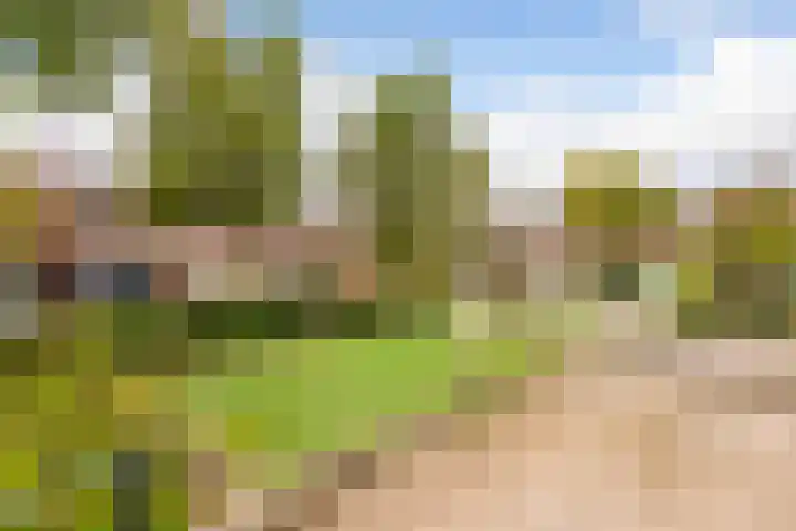 Cantatelaan 13 Nieuwegein thumbnail 32