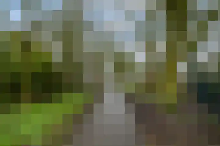 Cantatelaan 6 Nieuwegein thumbnail 38