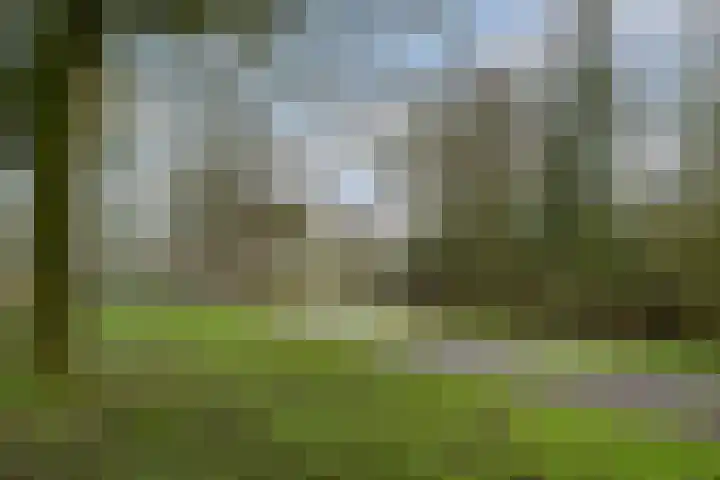 Cantatelaan 6 Nieuwegein thumbnail 39